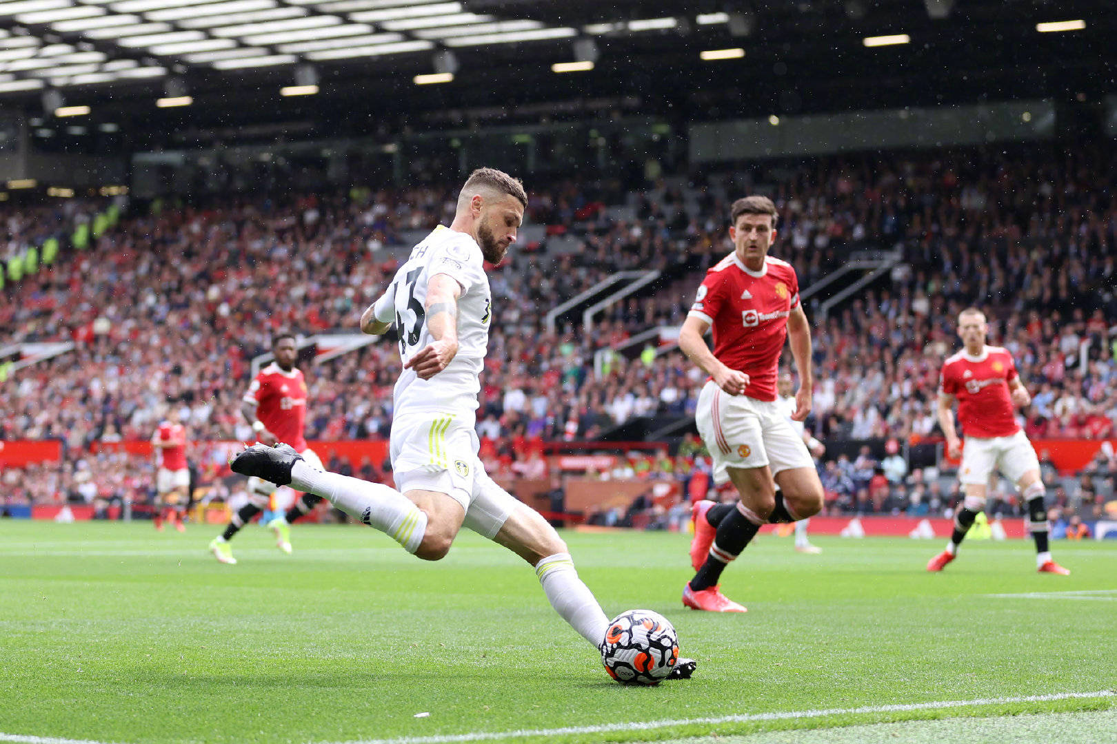 组织串联 组织串联